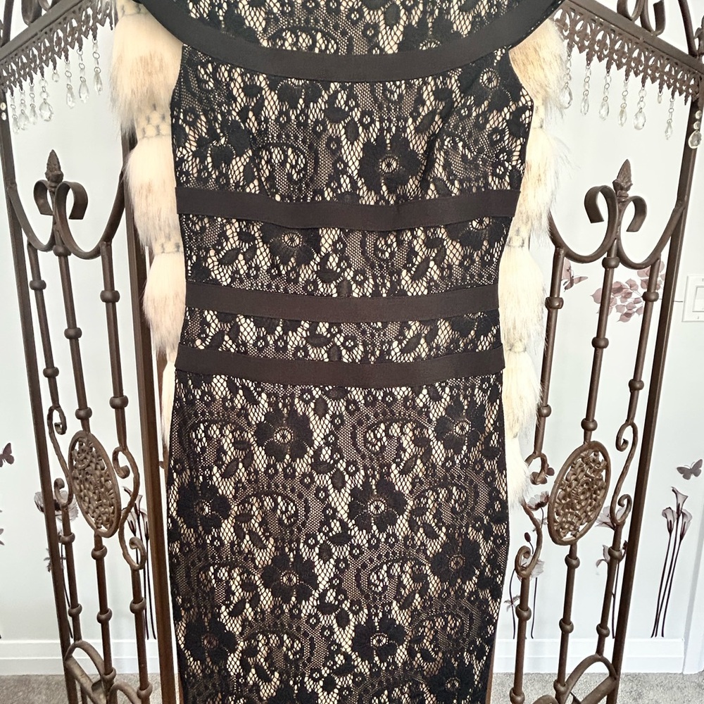 Adrianna Papell Black and Tan Sheath Dress Sleeveless